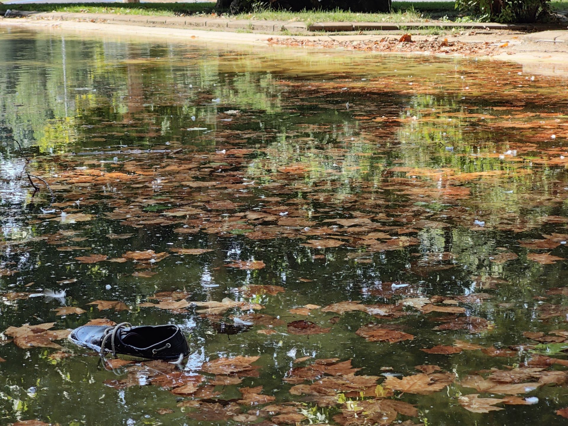 Las imágenes de la basura en el estanque del paseo Papalaguinda
