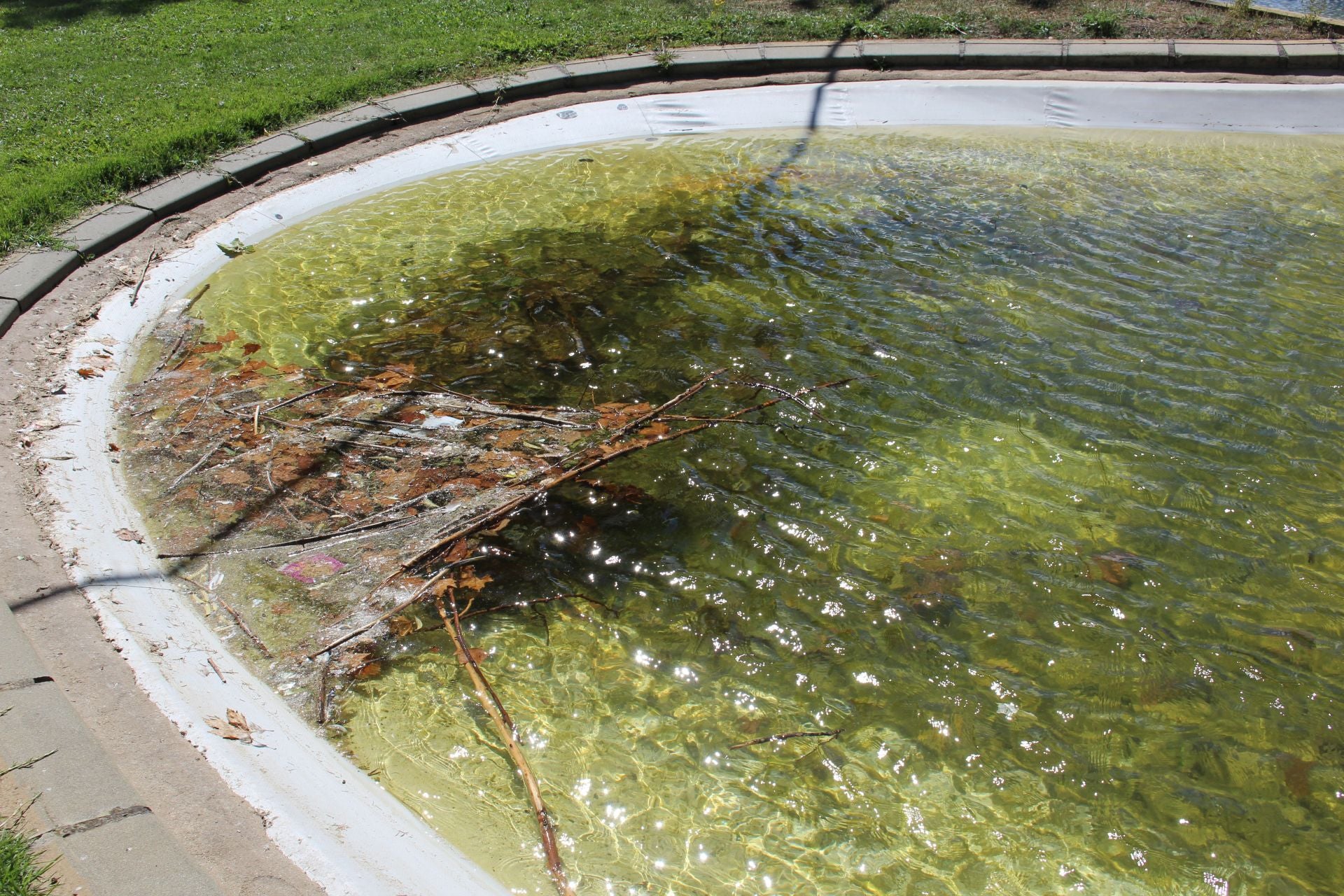 Las imágenes de la basura en el estanque del paseo Papalaguinda