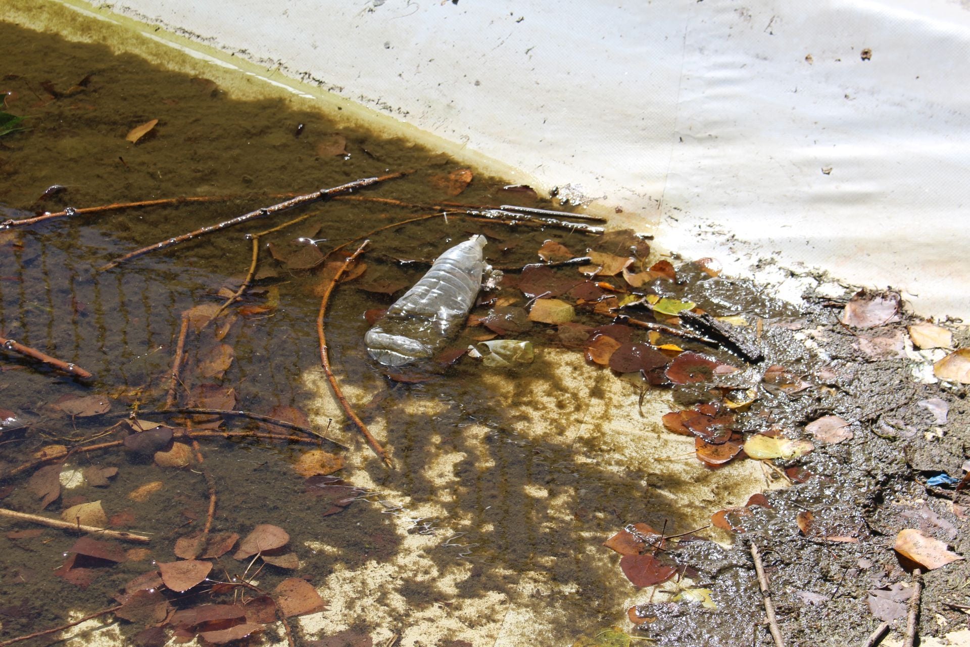Las imágenes de la basura en el estanque del paseo Papalaguinda