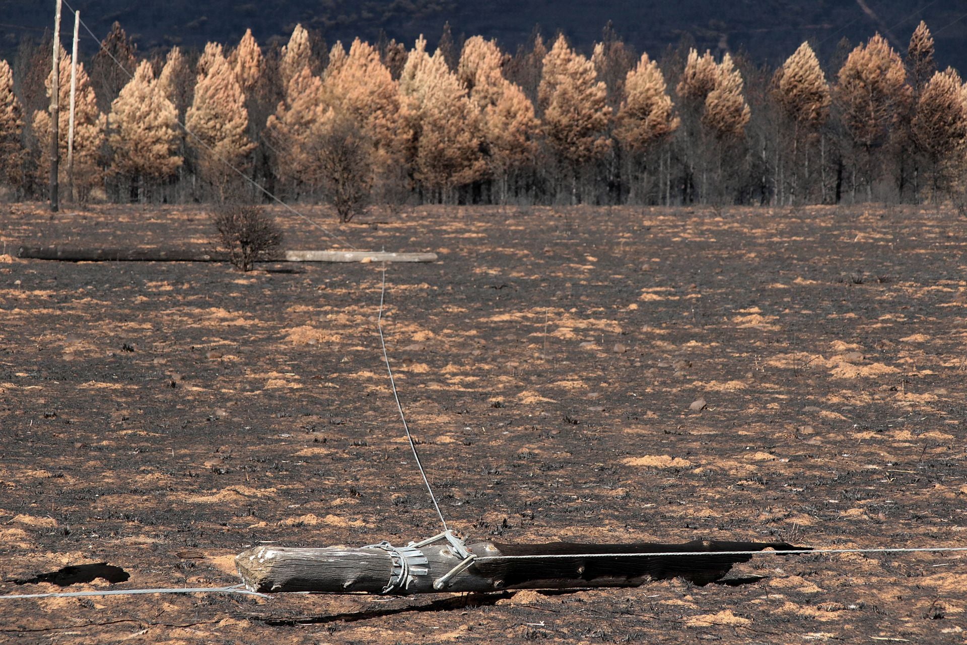 Así está Castrocalbón semanas después del incendio