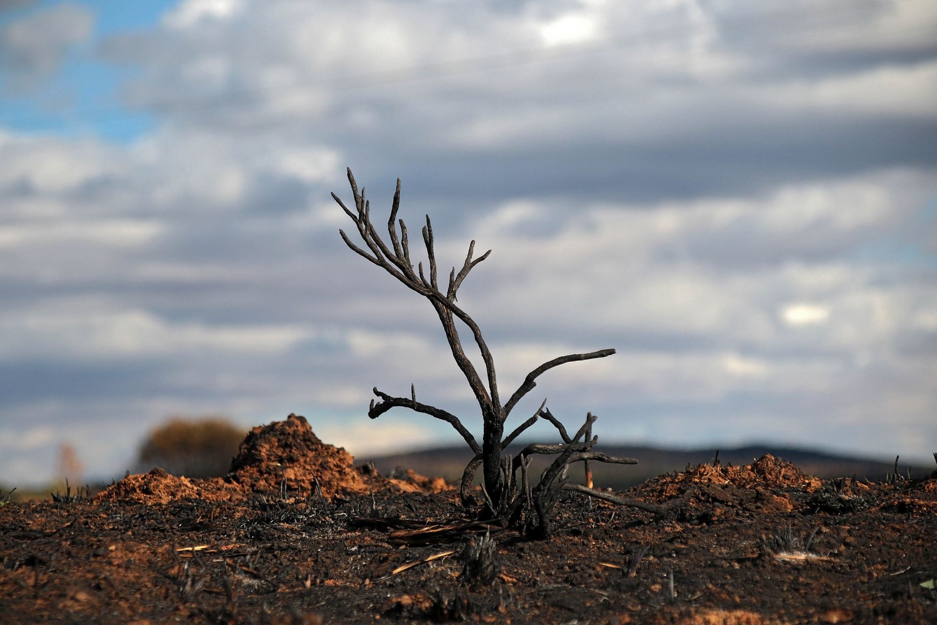 Así está Castrocalbón semanas después del incendio