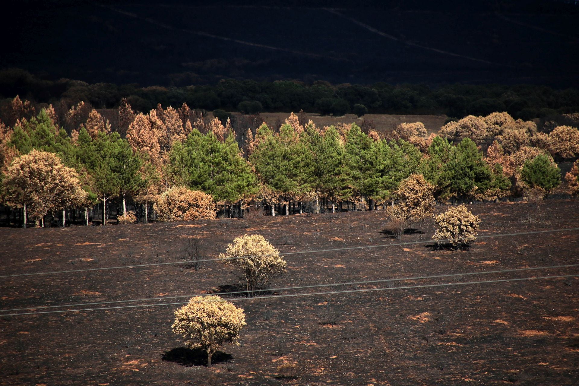 Así está Castrocalbón semanas después del incendio