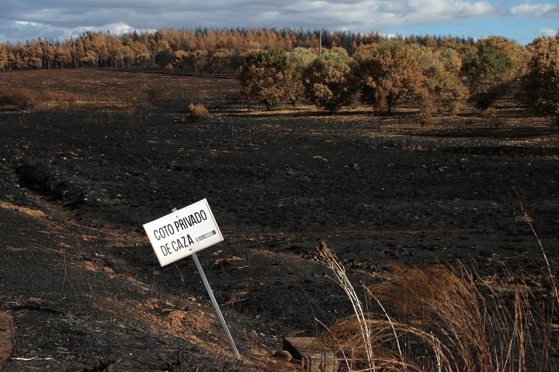 Así está Castrocalbón semanas después del incendio