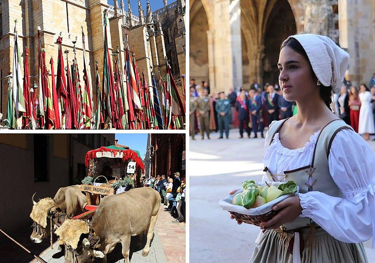 Pendones, carros y cantaderas en San Froilán.