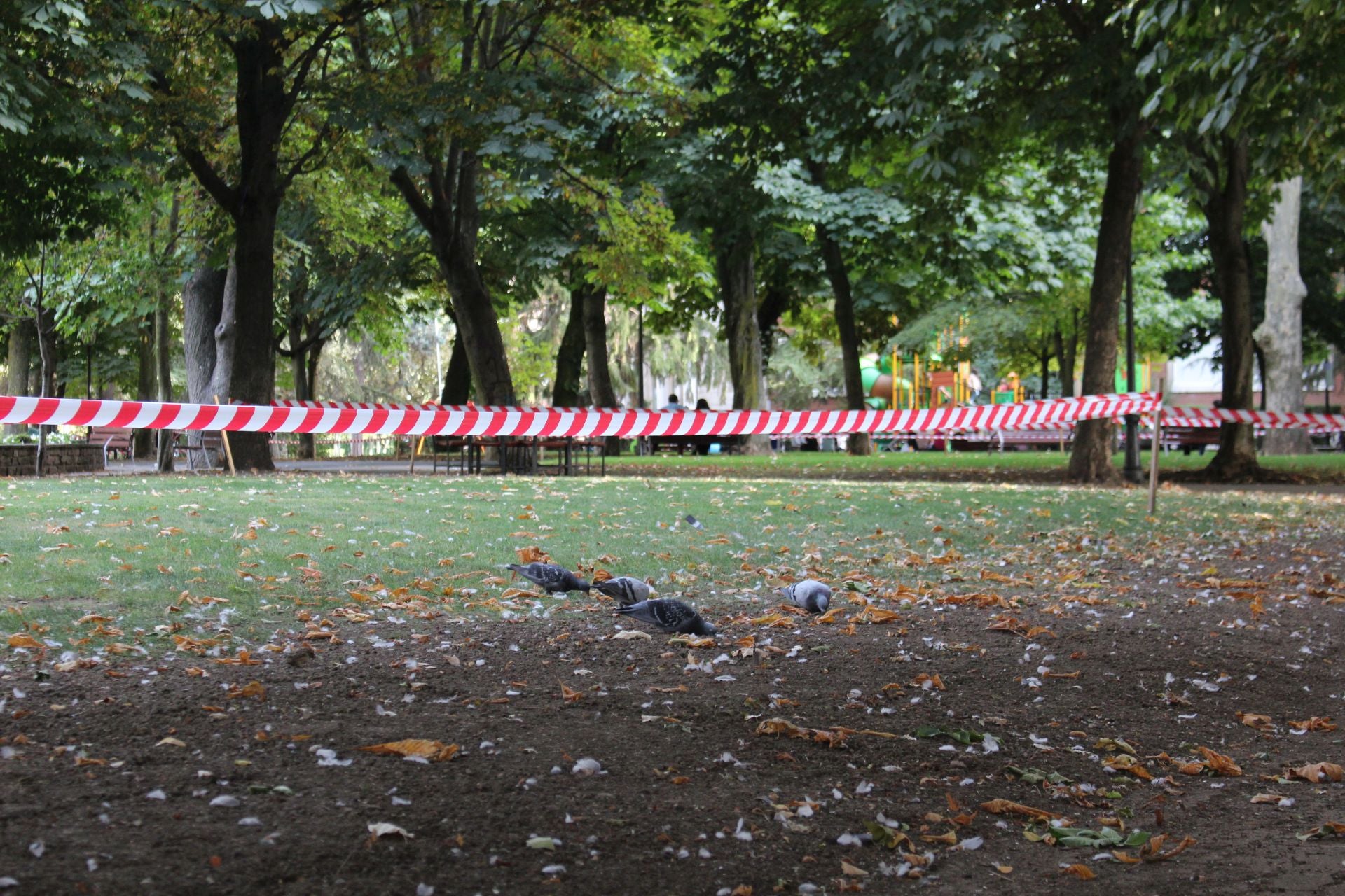 La suciedad en el parque infantil de San Francisco
