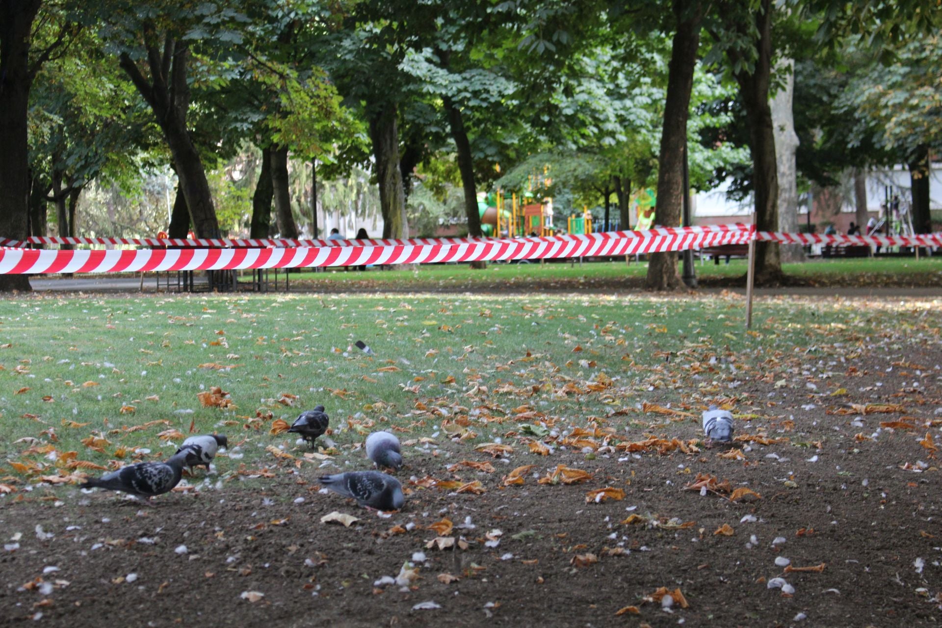La suciedad en el parque infantil de San Francisco