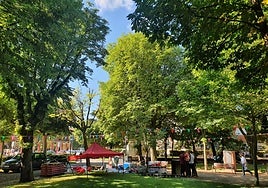 Jardín de San Francisco en el Come y Calle.