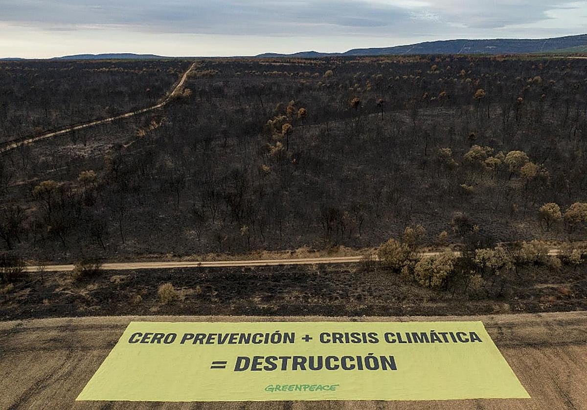 Pancarta de Greenpeace.