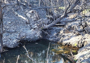 Ecologistas piden evaluar y controlar los acuíferos de León por el riesgo de contaminación
