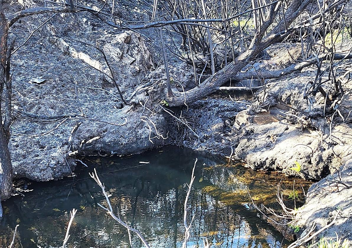 Terreno calcinado en León.