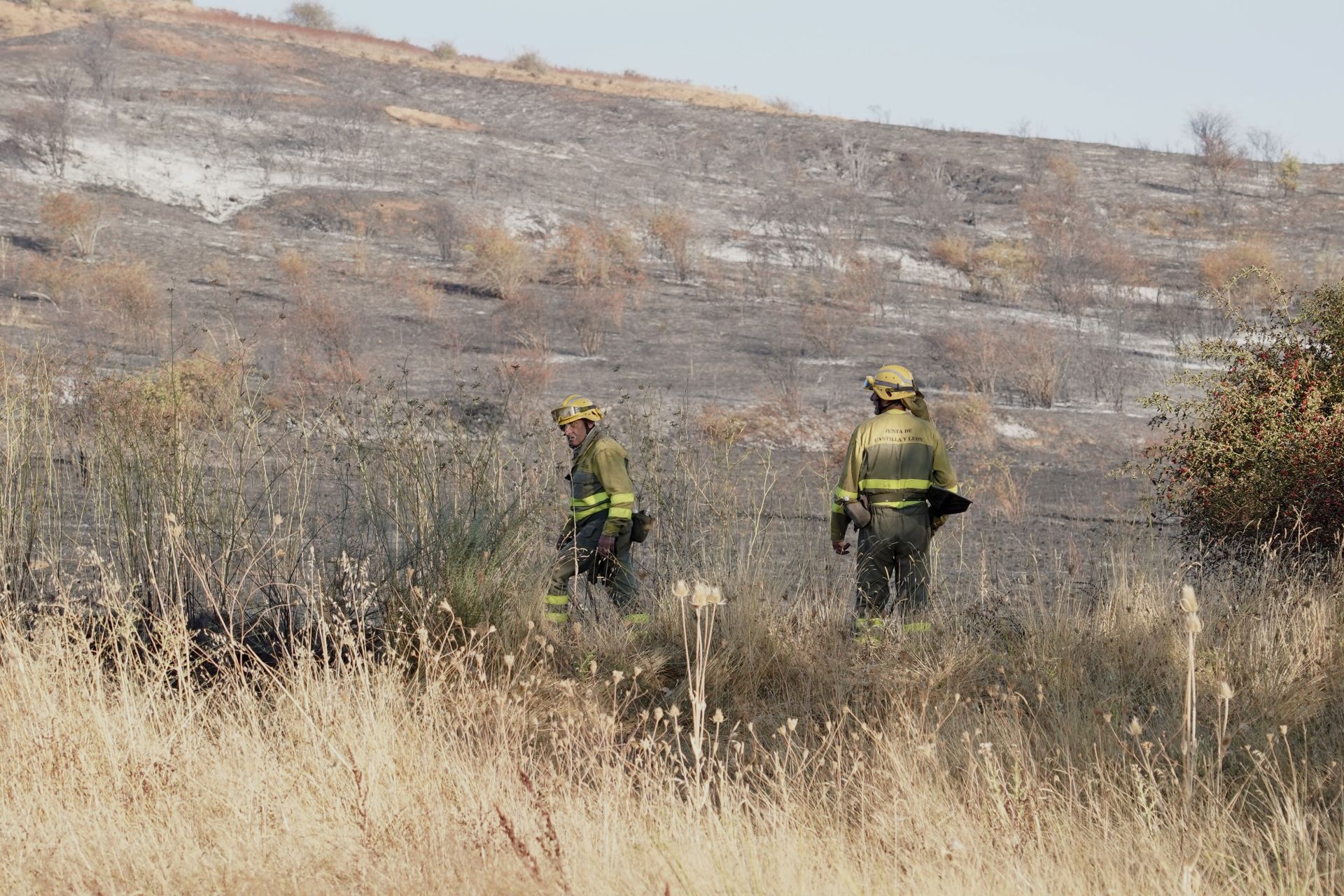 Incendio en Quintana de Raneros
