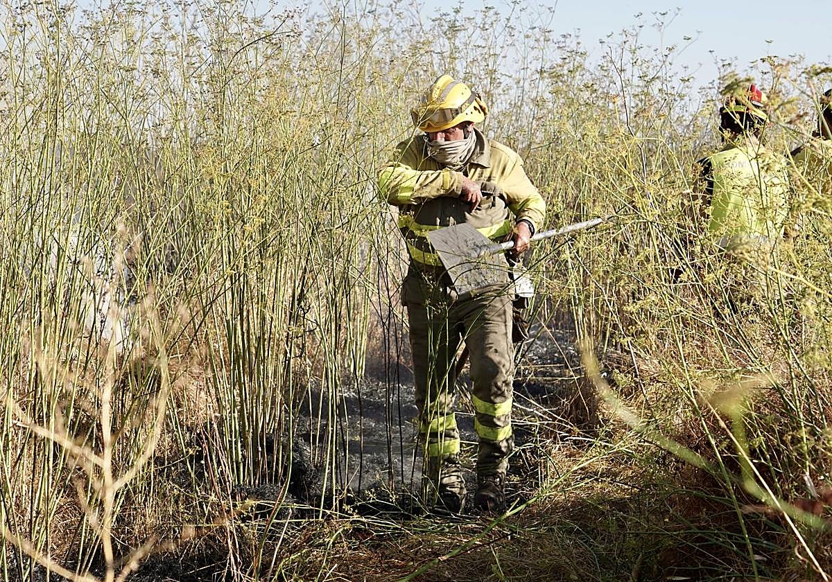 Bomberos en un incendio forestal.