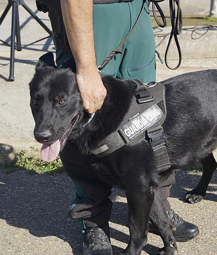 Imagen secundaria 2 - León garantiza a sus peregrinos que nunca caminarán solos