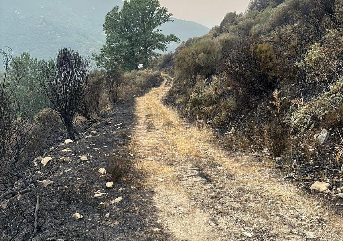 Estado en el que quedaron los montes tras el incendio de Fasgar.