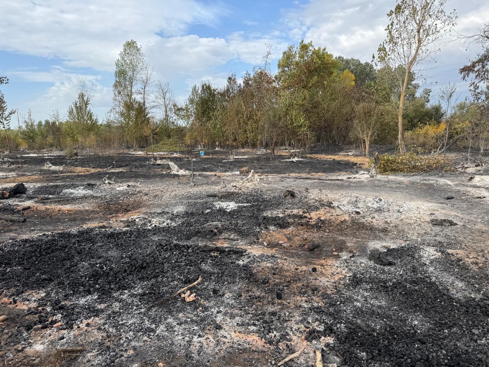 Las imágenes de Villarejo de Órbigo tras el incendio