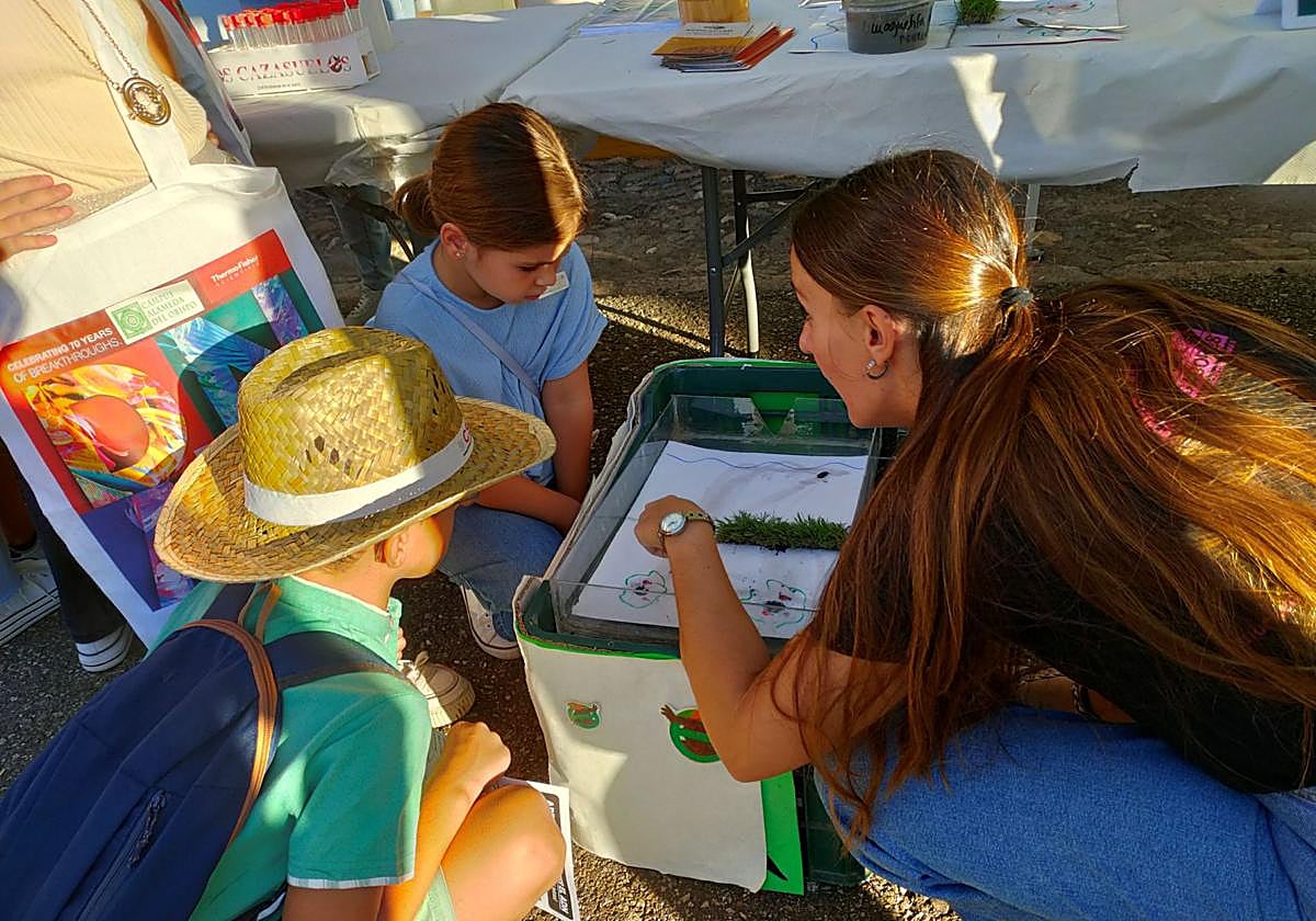 Imagen de una de las actividades propuestas.