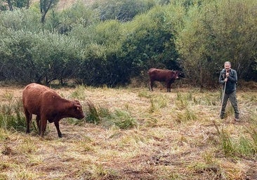 El último afectado por los incendios en León: «Tienen envidia y nos dan palos por todos lados»