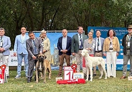 Foto de familia de los ganadores.