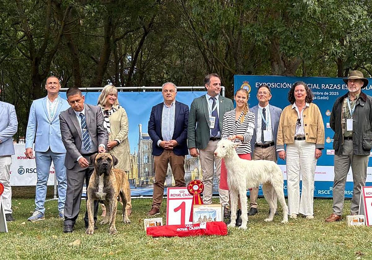 Foto de familia de los ganadores.