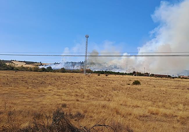 Imagen de incendio en el entorno de la urbanización de Las Horcas.
