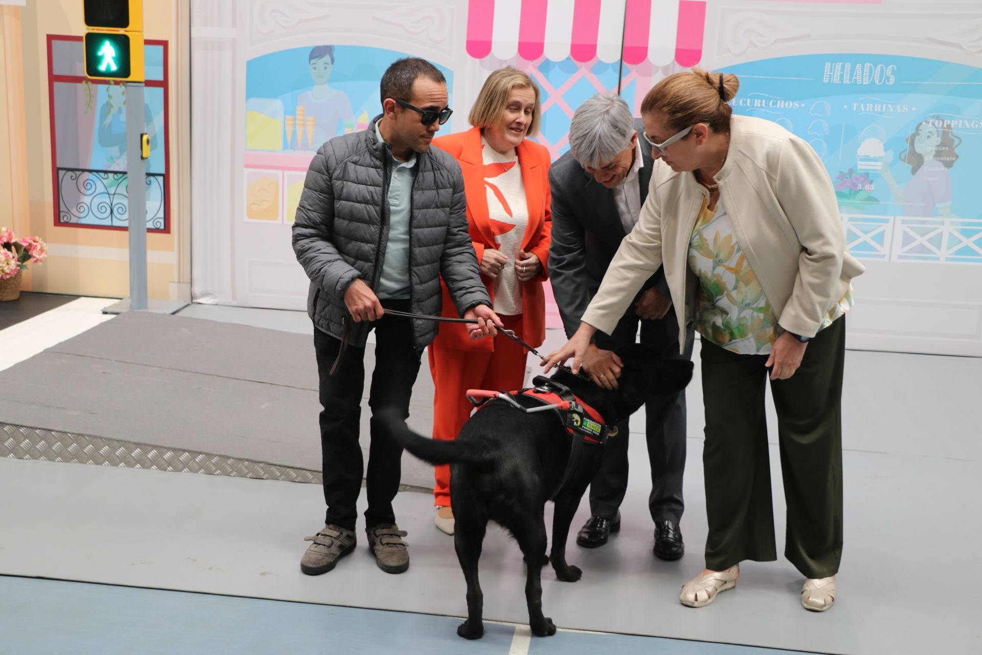 Así se adiestran y trabajan los perros guía