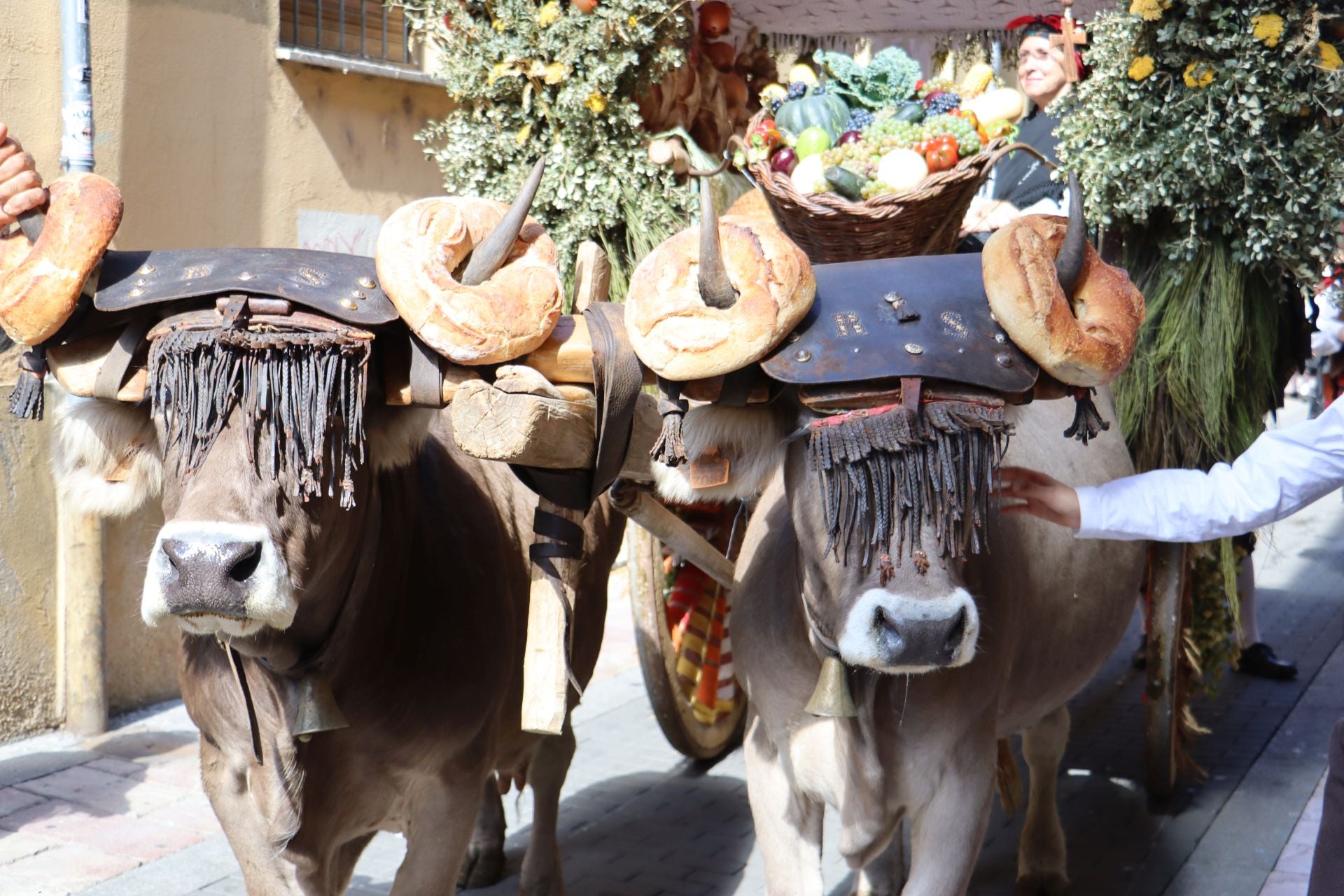 Las mejores imágenes del desfile de carros engalanados
