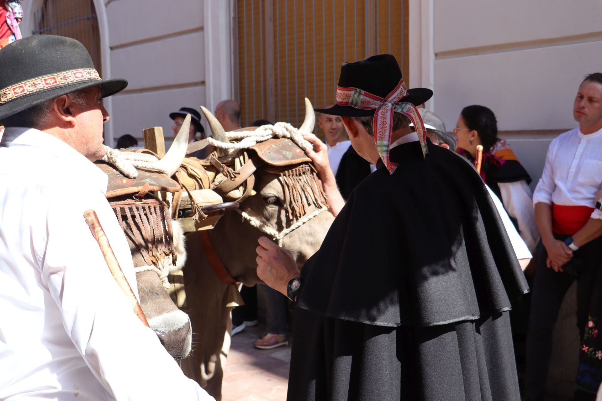 Las mejores imágenes del desfile de carros engalanados