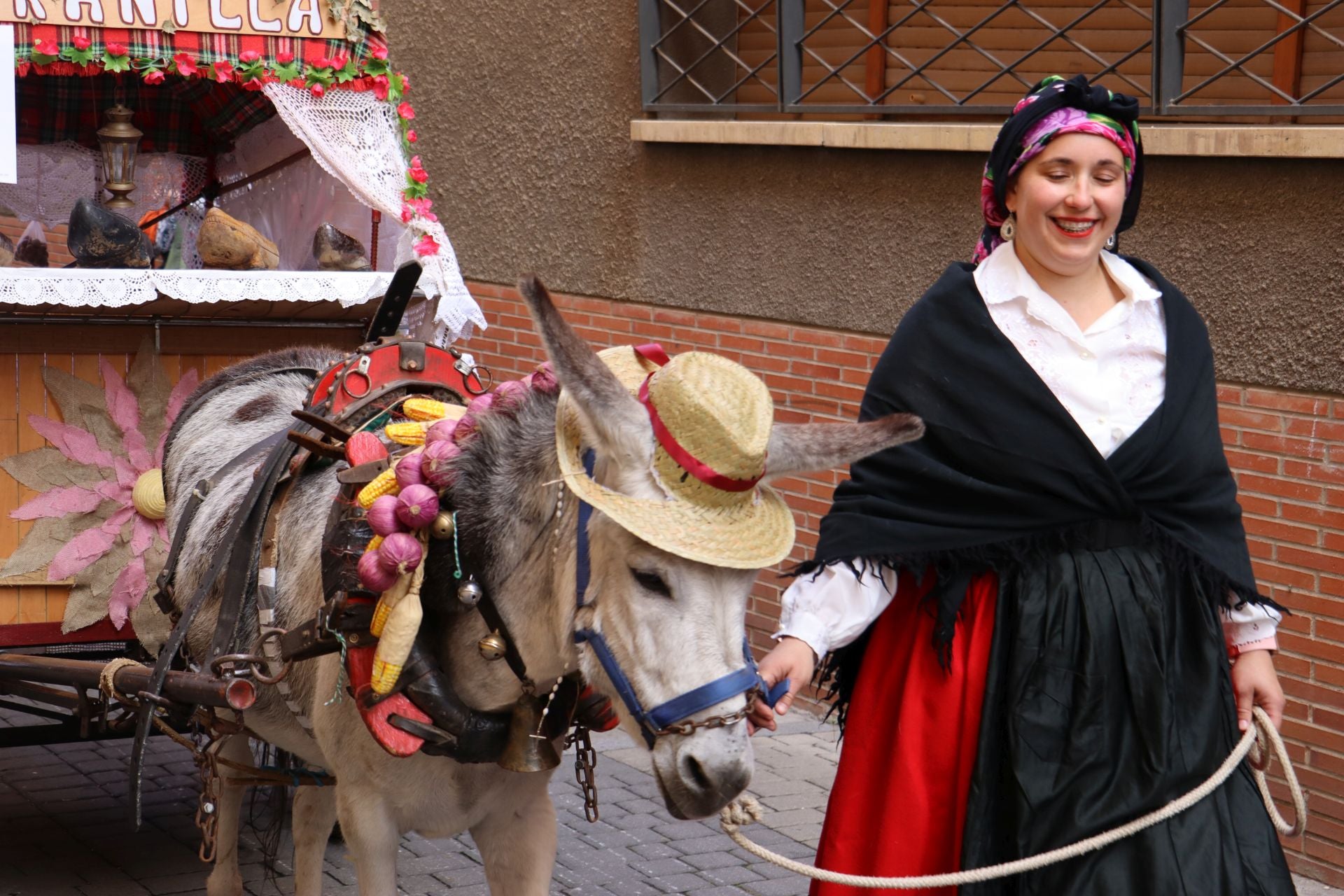 Las mejores imágenes del desfile de carros engalanados