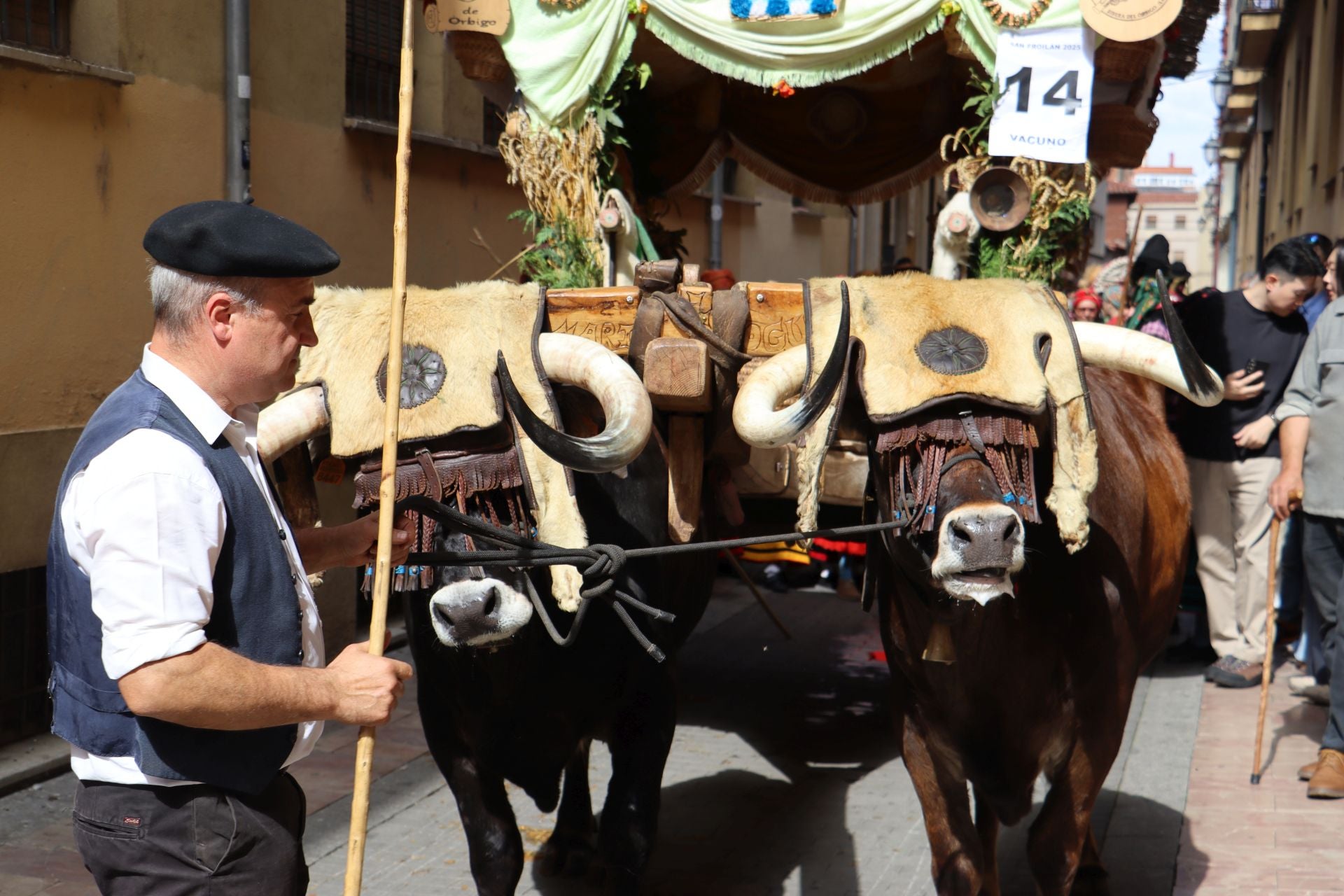 Las mejores imágenes del desfile de carros engalanados