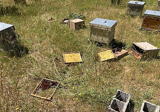 Ataque a una colmena.