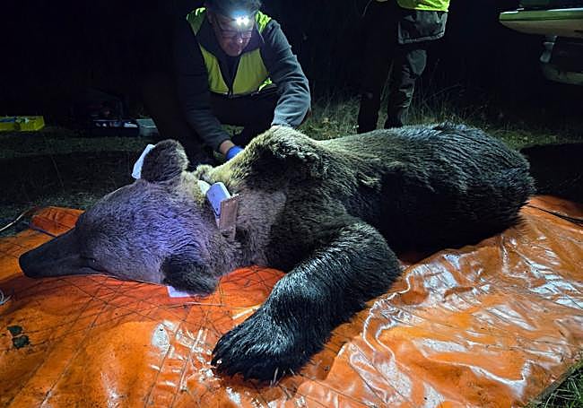 Captura y monitorización.