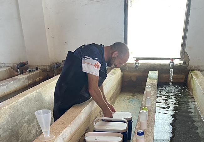 Muestreo para la investigación.