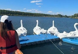 Imagen parcial del embarcadero que sale a subasta.