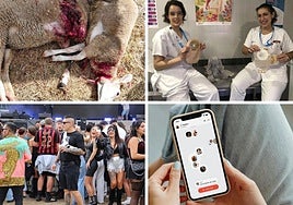 Imágenes del día en León.