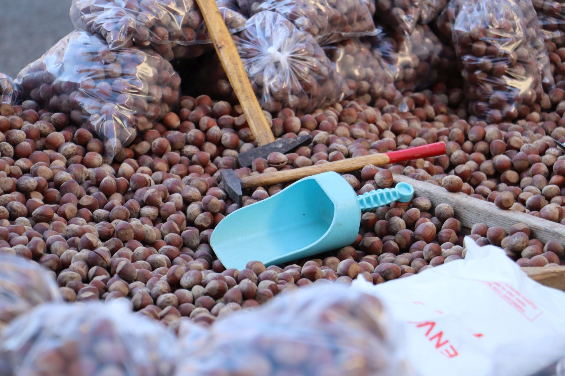 La divertida tradición de tocar la nariz a San Froilán: un gesto de cariño y perdón en León