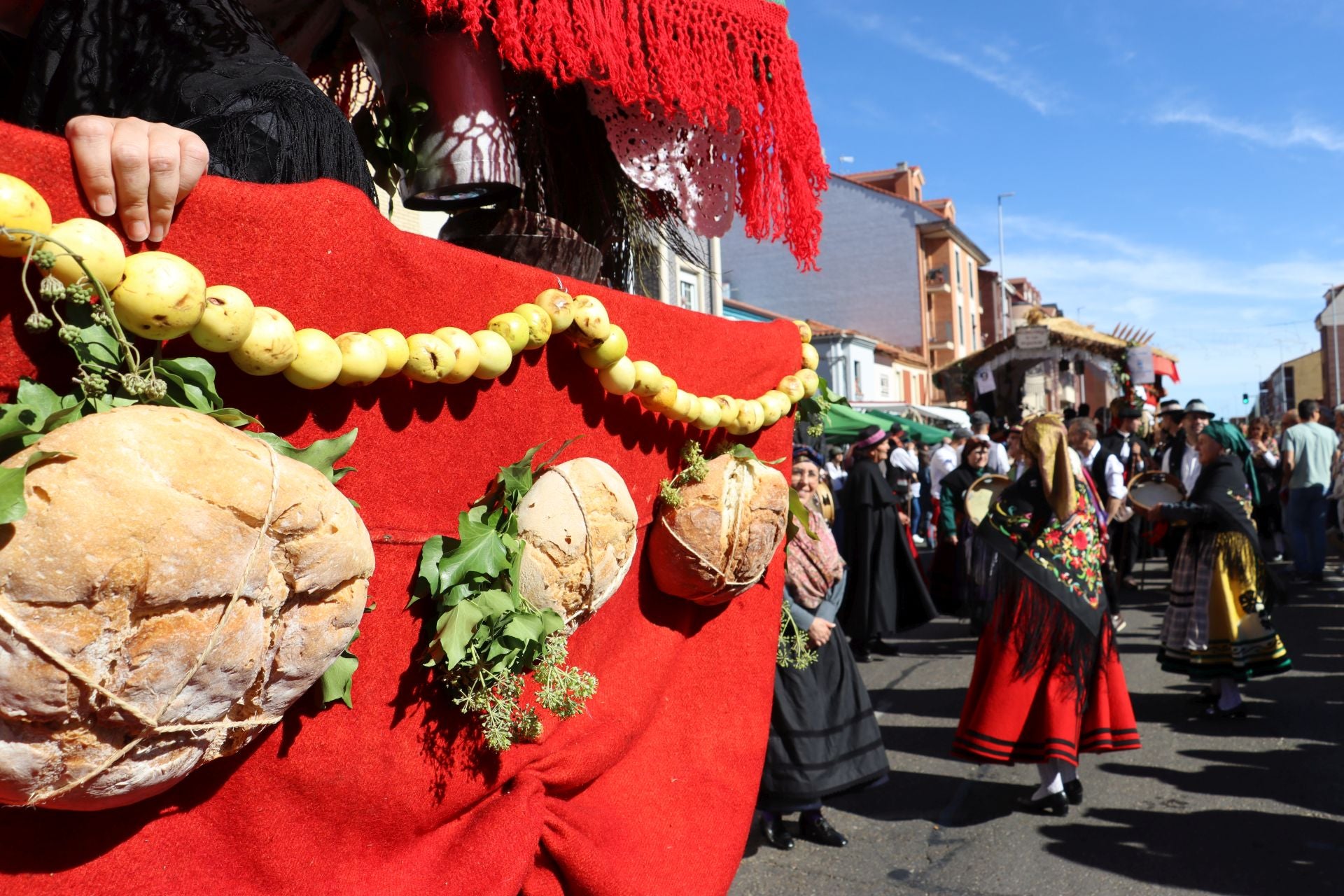 Carros y ganado se visten de fiesta en San Froilán