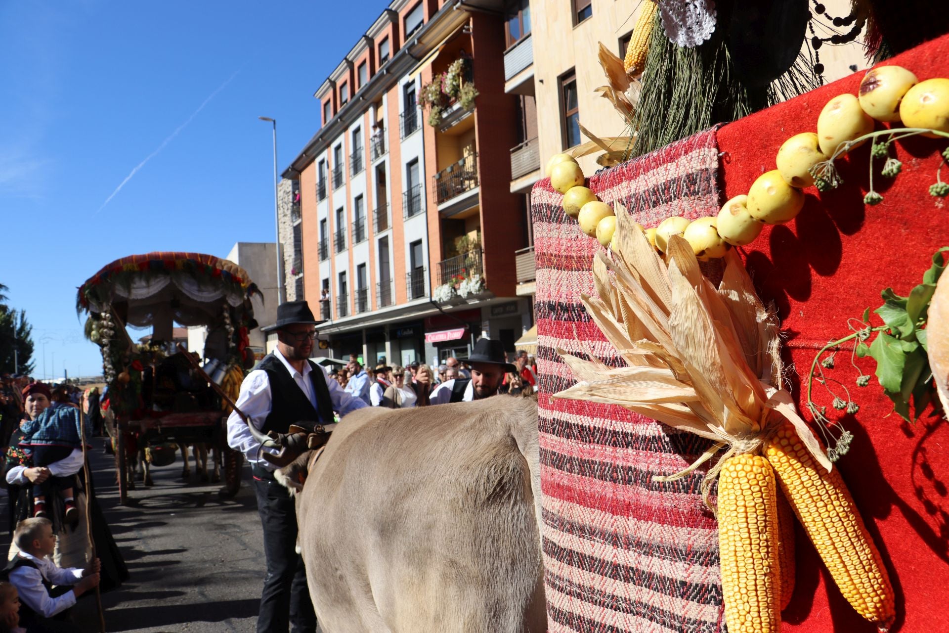 Carros y ganado se visten de fiesta en San Froilán