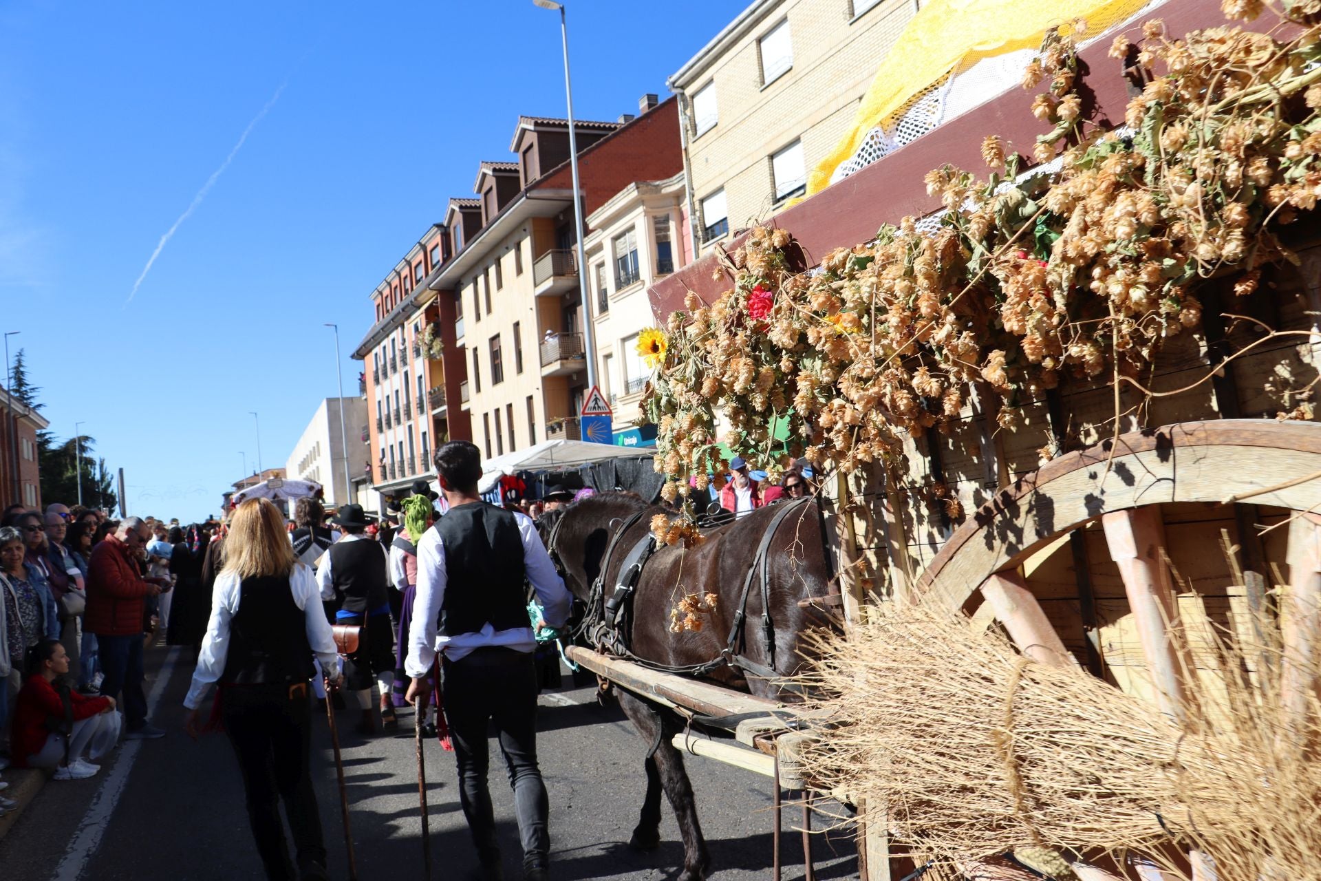 Carros y ganado se visten de fiesta en San Froilán
