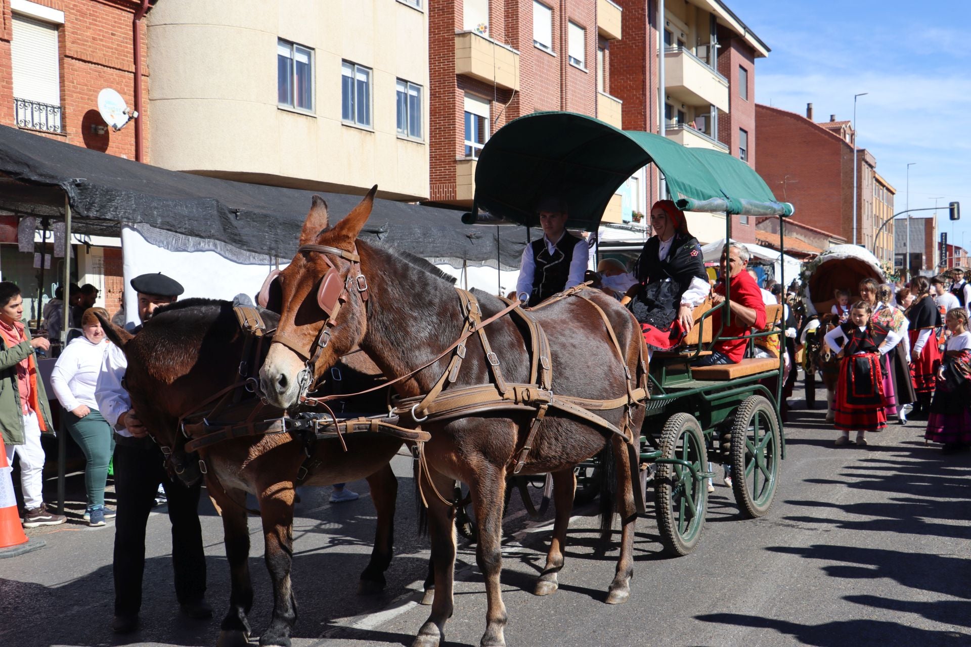 Carros y ganado se visten de fiesta en San Froilán