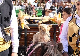 Desfile de carros engalanados en la romería de San Froilán.