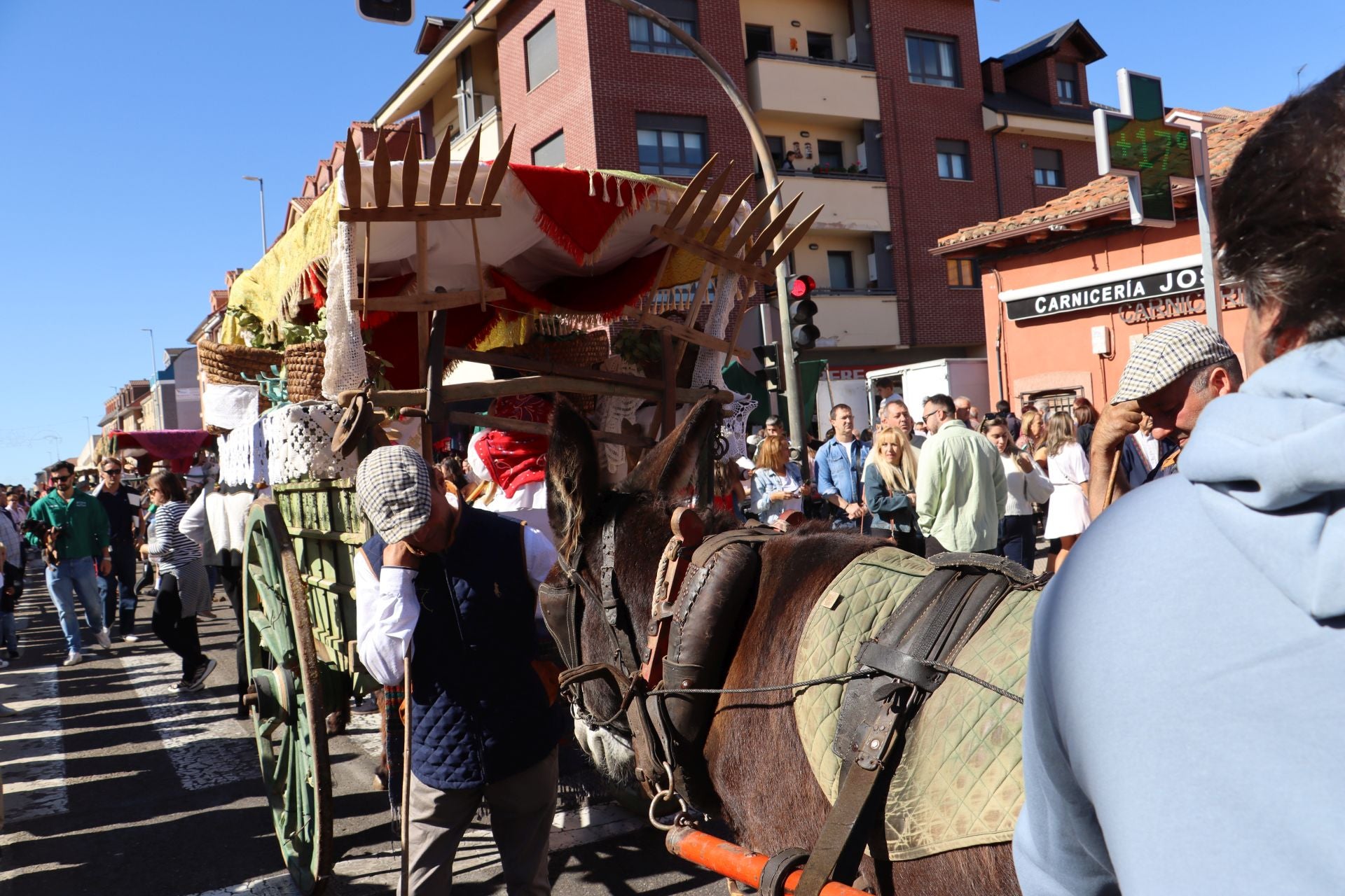 Carros y ganado se visten de fiesta en San Froilán