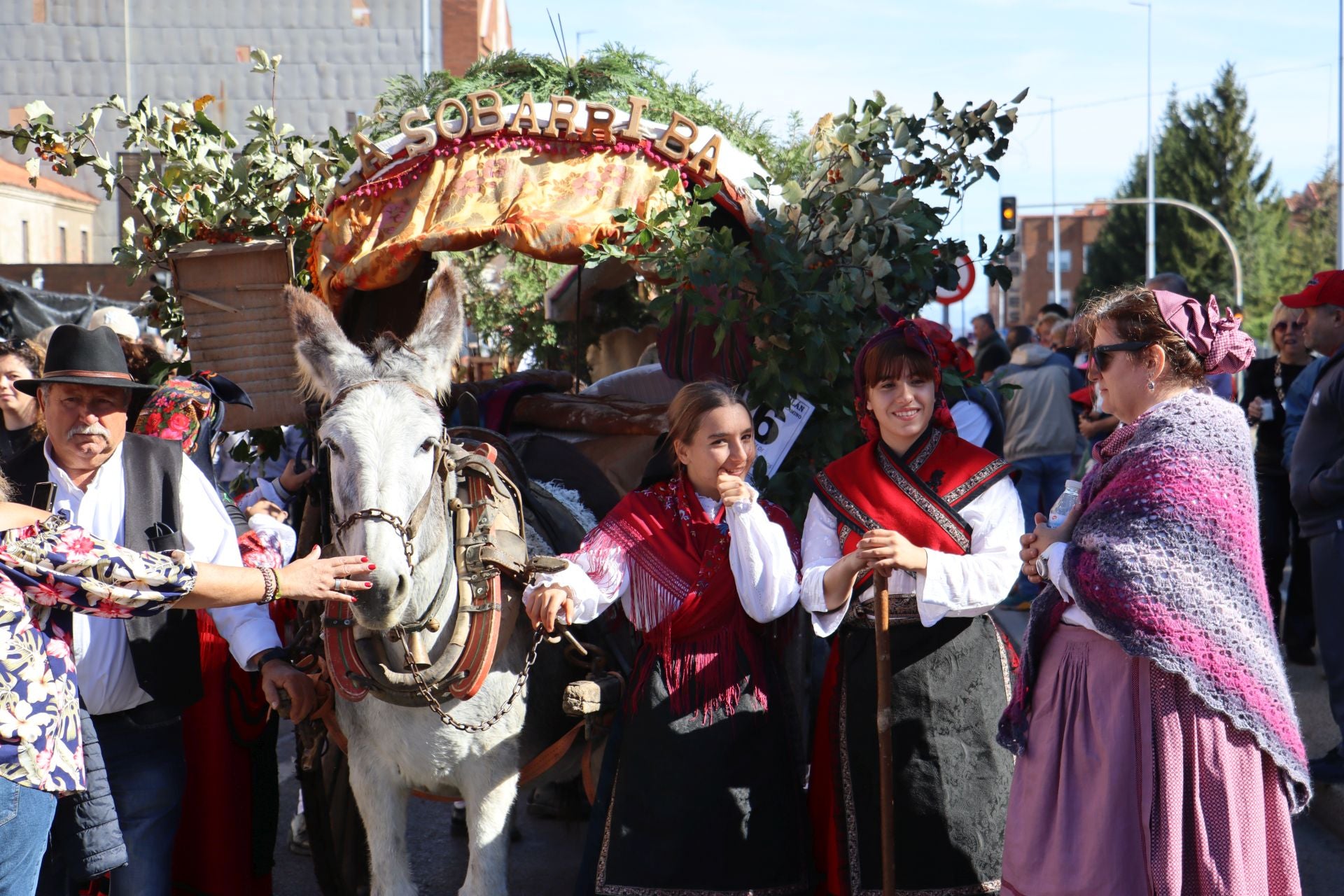 Carros y ganado se visten de fiesta en San Froilán