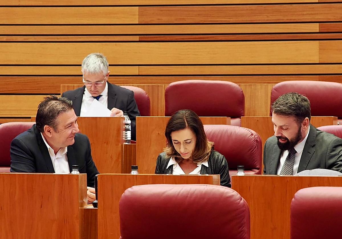 Procuradores leonesistas en las Cortes.