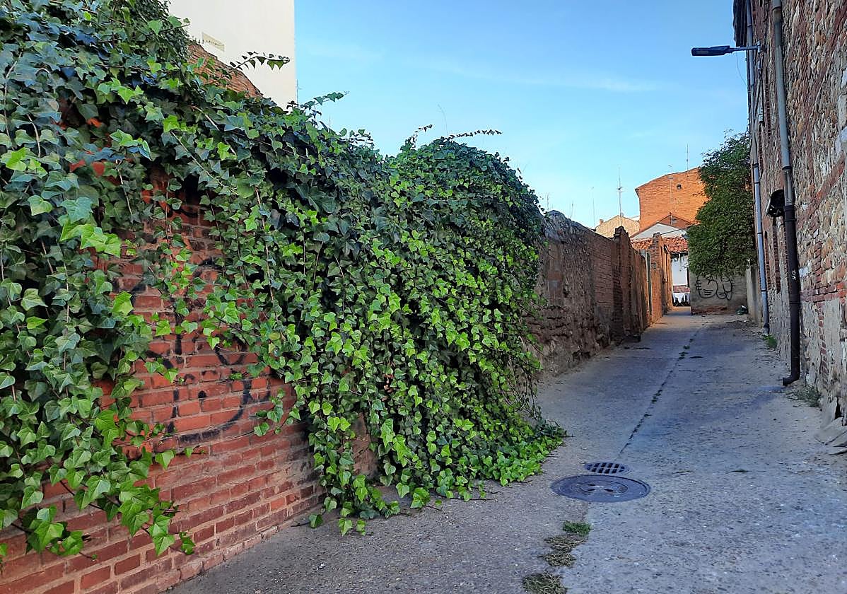 Calle de Tres Mitras.