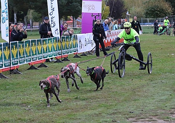 Mushing en Valencia de Don Juan
