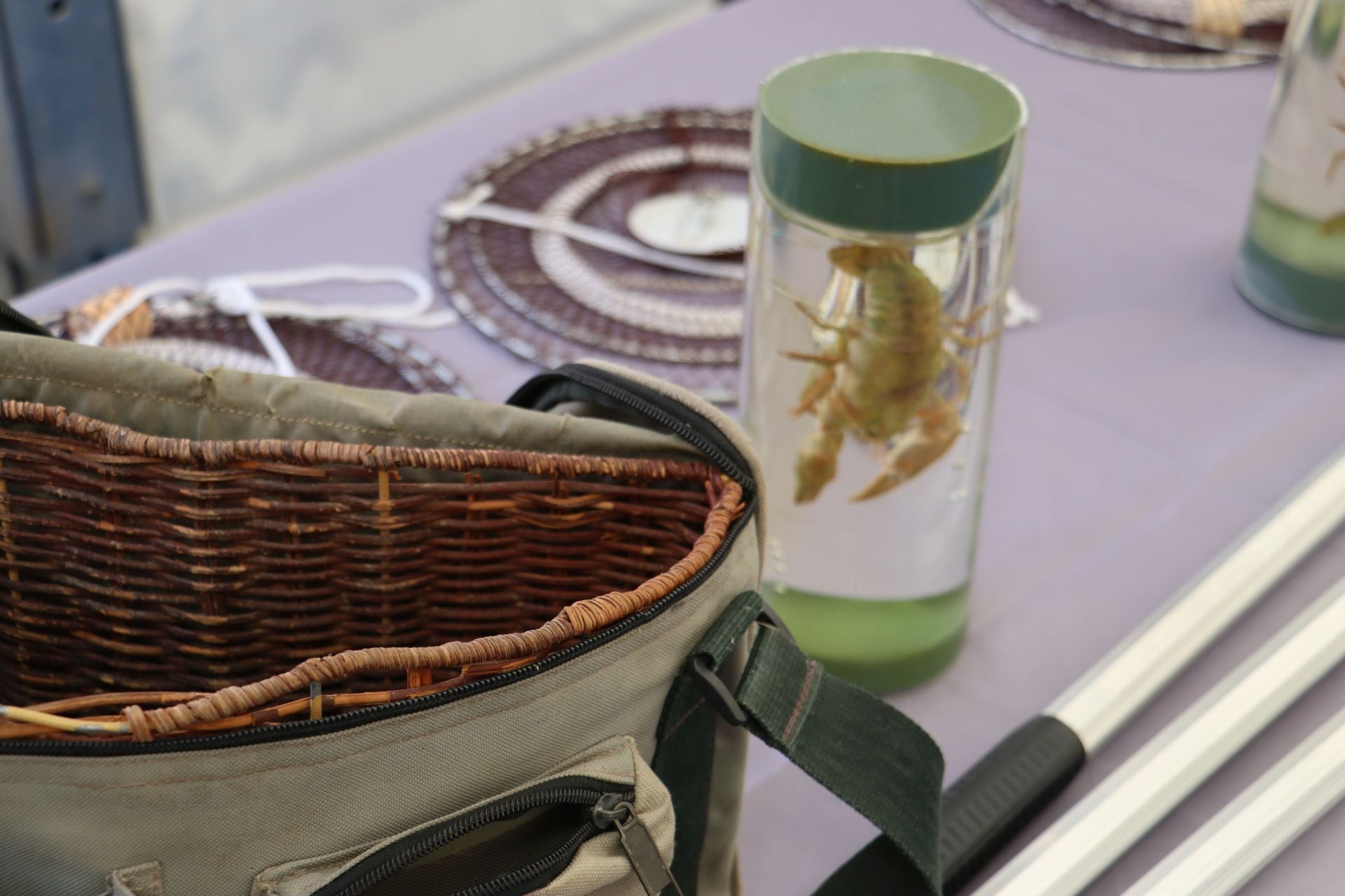 La Plaza Mayor de León se convierte en un aula de pesca