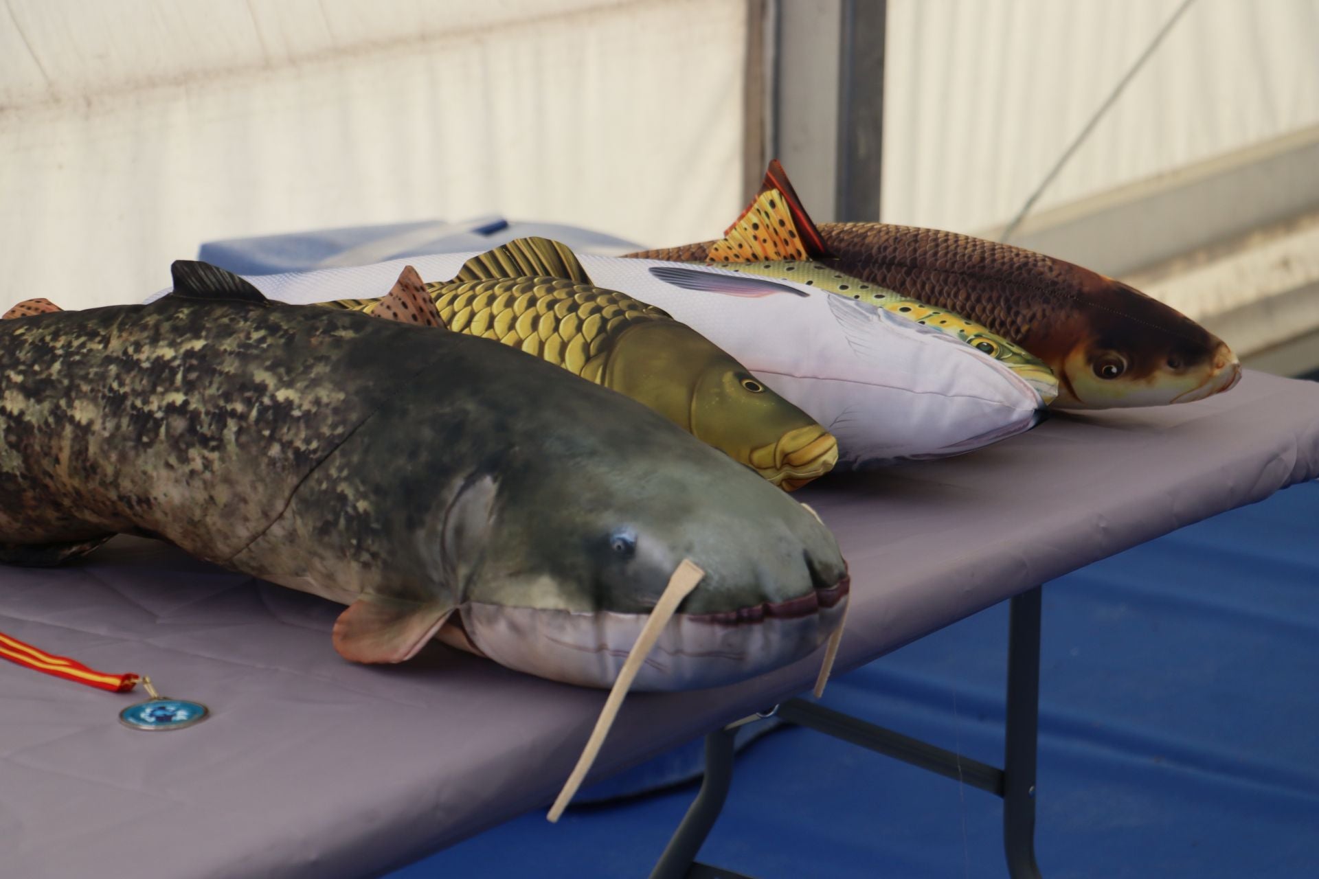 La Plaza Mayor de León se convierte en un aula de pesca