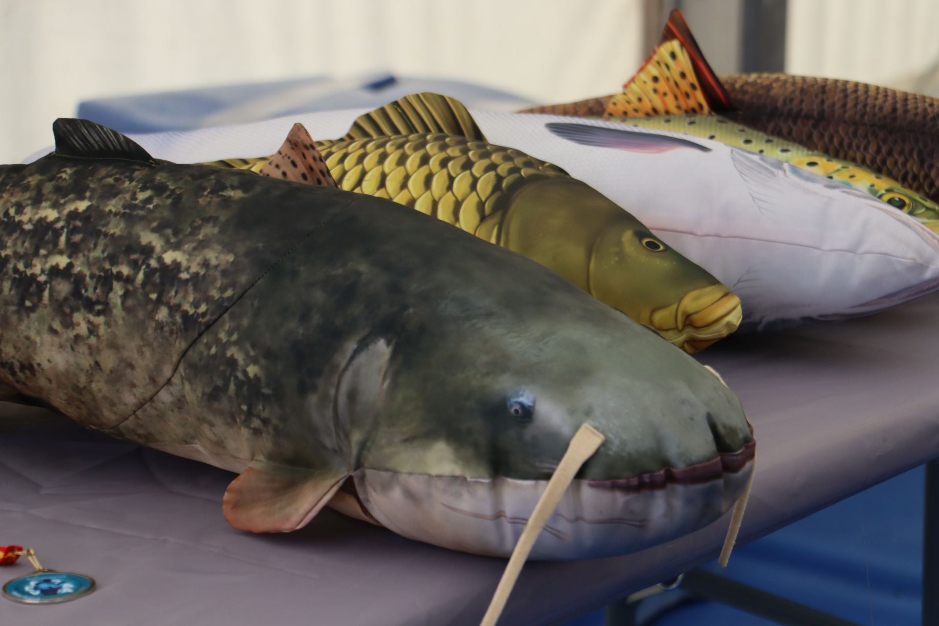 La Plaza Mayor de León se convierte en un aula de pesca