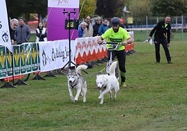 Imagen de una competición de mushing