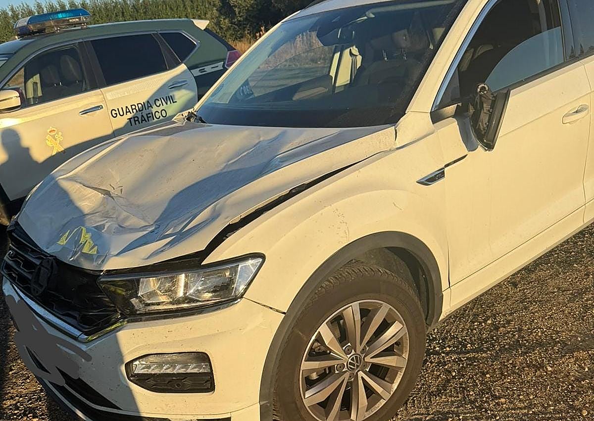 Imagen secundaria 1 - Una huerta destrozada en Riofrío por las vacas que cruzan la carretera y provocan accidentes.